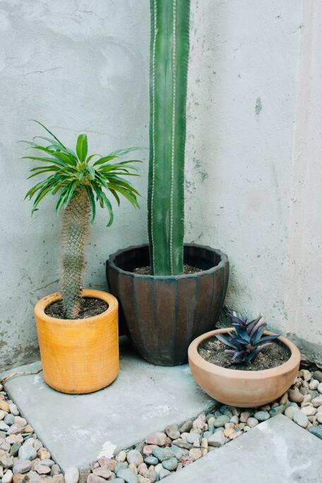 Charming 3Br Oasis, 5 Min Fr Usa - Ac In Every Rm Ciudad Juarez Luaran gambar